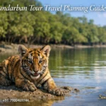 Sundarban Tour Travel Planning Guide