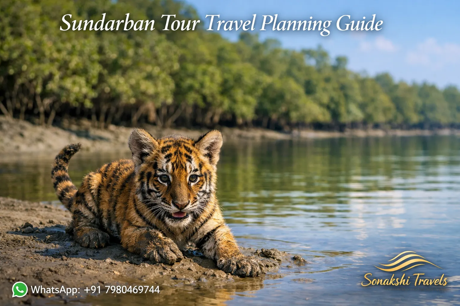 Sundarban Tour Travel Planning Guide
