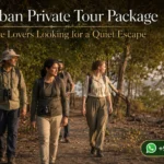 Sundarban Private Tour Package for Nature Lovers Looking for a Quiet Escape