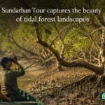 Sundarban Tour captures the beauty of tidal forest landscapes