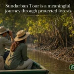 Sundarban Tour is a meaningful journey through protected forests