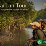 Sundarban Tour is a must for responsible nature tourism